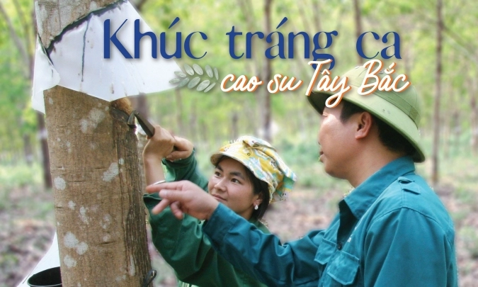Khúc tráng ca cao su Tây Bắc: [Bài 2] Cuộc cách mạng ở cuối trời Lai Châu